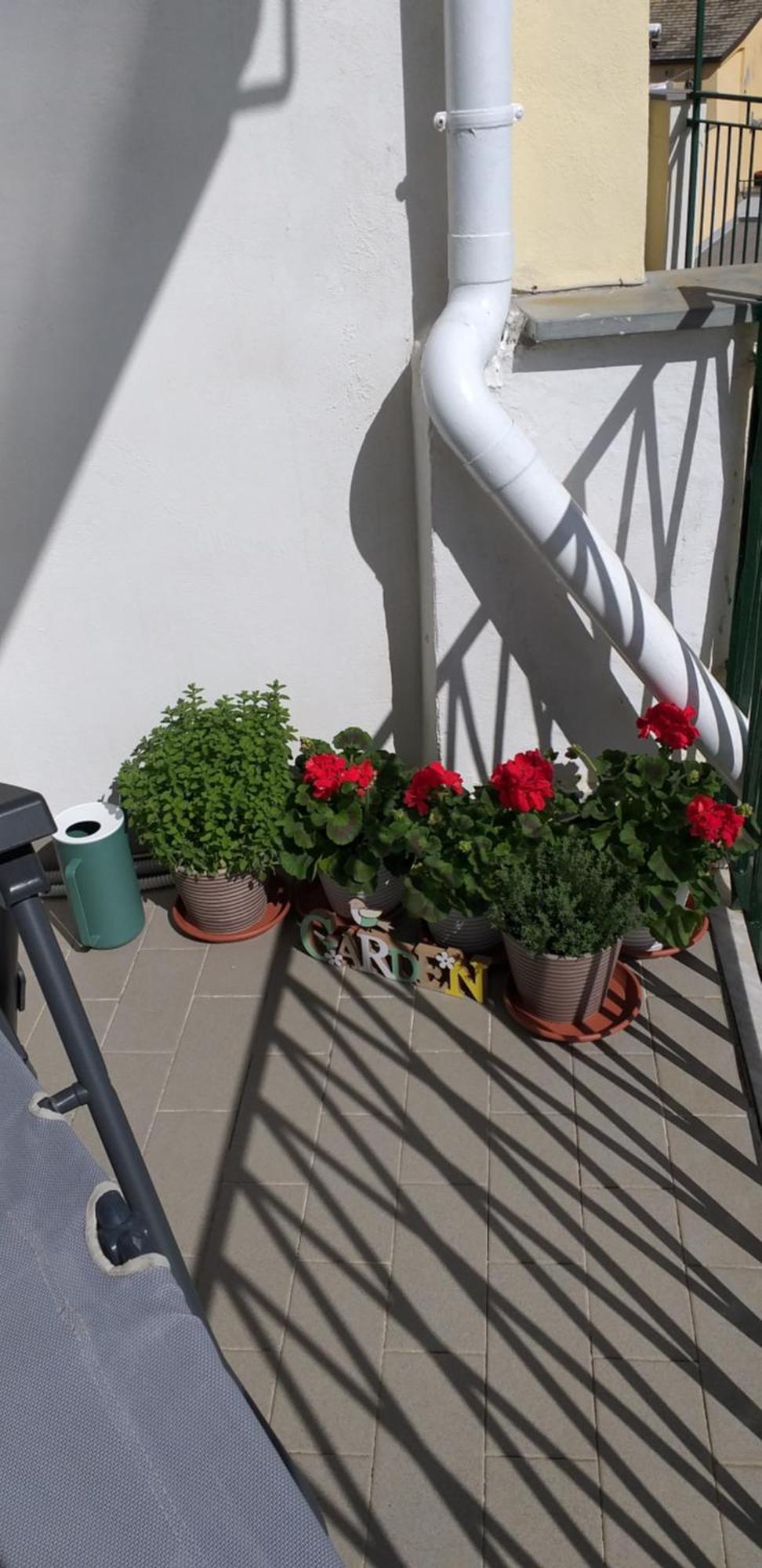 Aa Ciasea Duu Pintuu Apartman Riomaggiore Kültér fotó